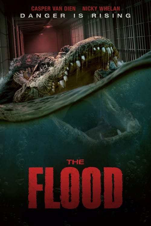 دانلود فیلم The Flood سیل