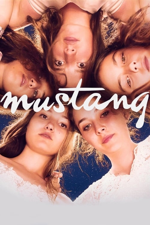 دانلود فیلم ترکی Mustang | اسب وحشی